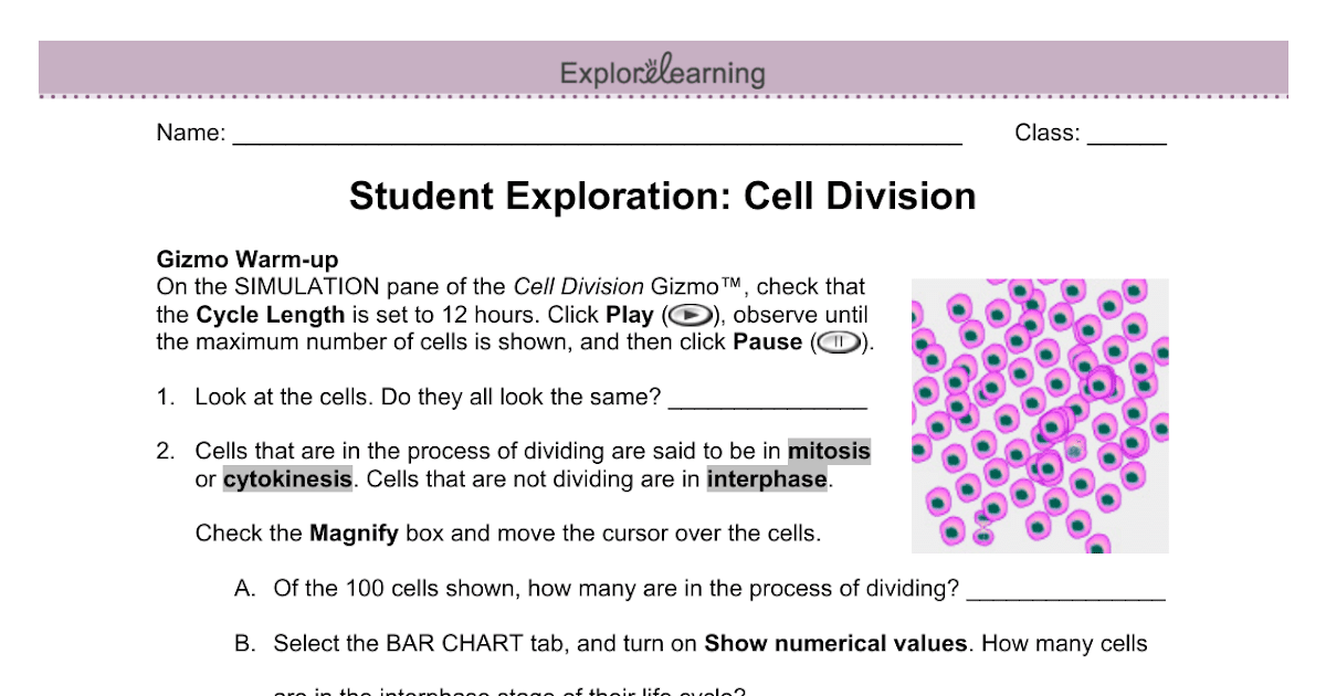 student-exploration-moles-answers-student-exploration-cell-structure-asnwer-key-student