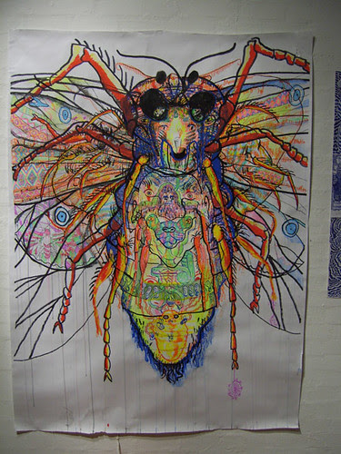 moth4