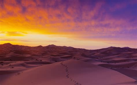 Sand dunes illuminated at sunrise, Erg Chebbi, Sahara Sand dunes illuminated at sunrise, Erg Chebbi, Sahara