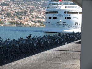 Adventure of the Seas 9