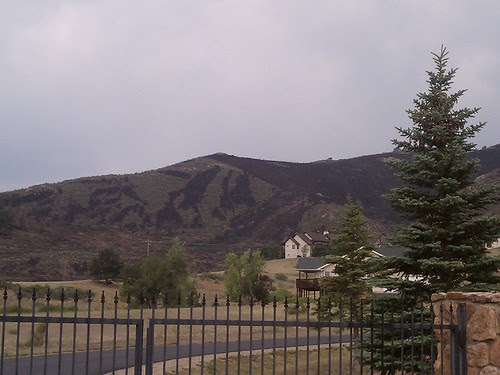 IMAG0686