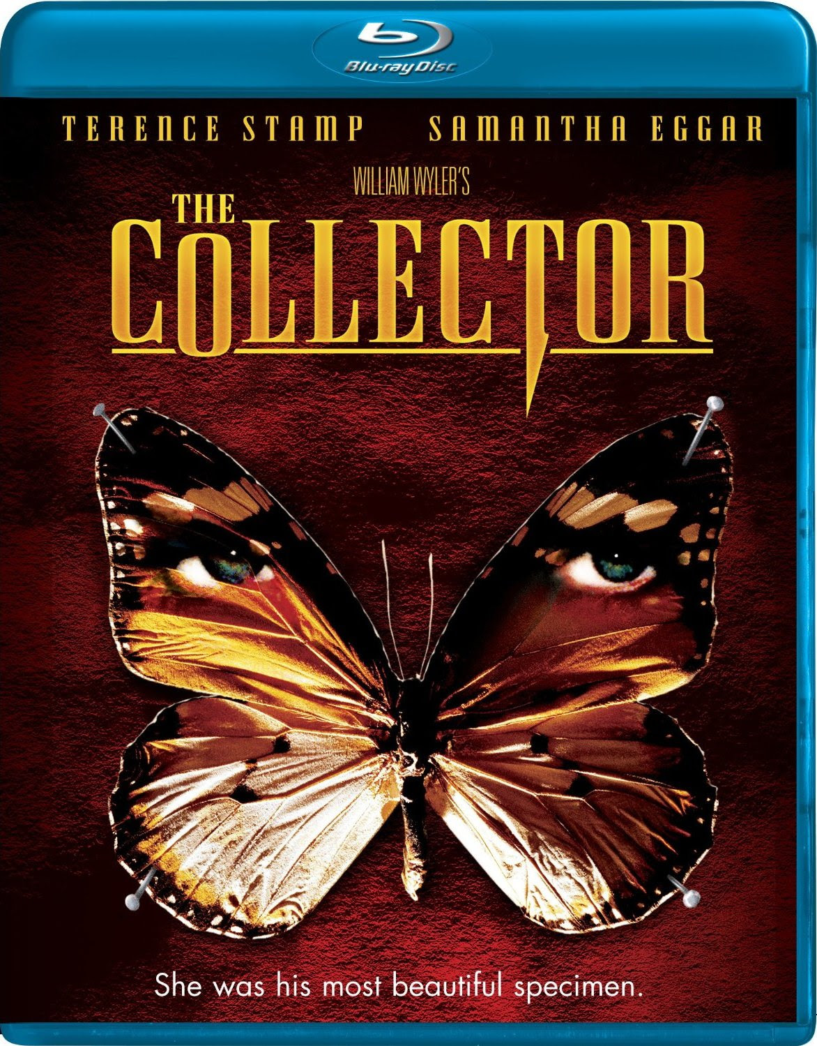Weltweit bekannt filme The Collector 1965 720p