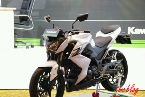 z2501.jpg image