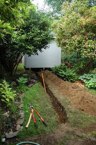 ditch