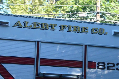 alert