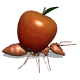 Animated ant with an apple. There are many species of ants and they are widely distributed.