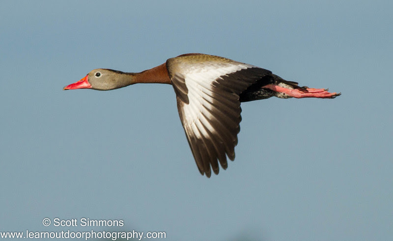 Photo & Video Sharing by SmugMug Photo & Video Sharing by SmugMug