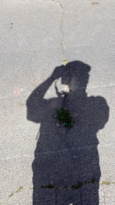 MySelfie