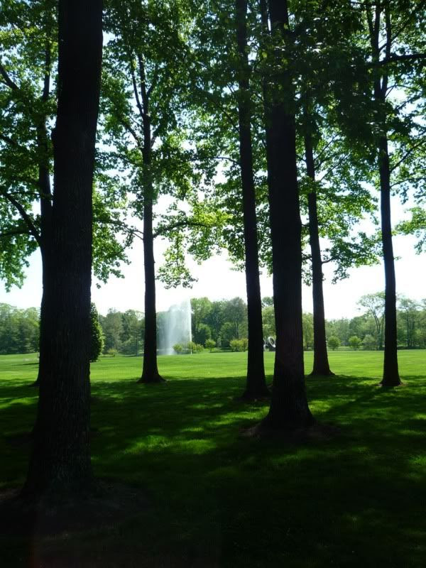 Avoiding Regret: Photo Essay: The Donald M Kendall Sculpture Gardens