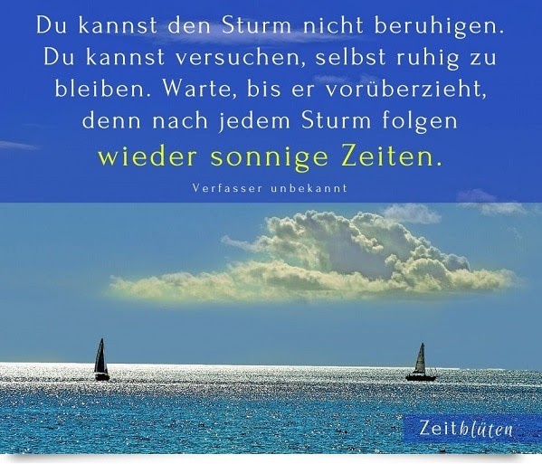 Stark Löwin Sprüche 43 Lowen Spruche Ideen Spruche Lowe Zitate Lowenspruche Erma Troffee