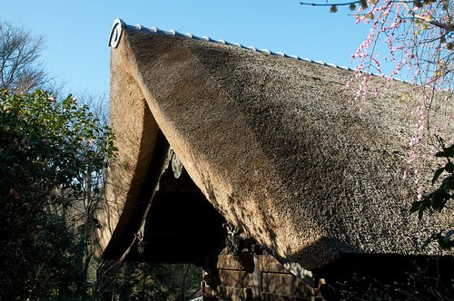 Sugimotodera thatched roof