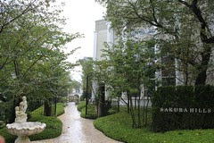 Sakura Hills