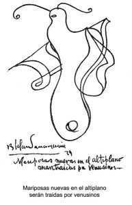 4-mariposas-de-venus-en-altiplano