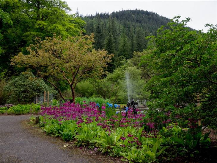jardins da Europa