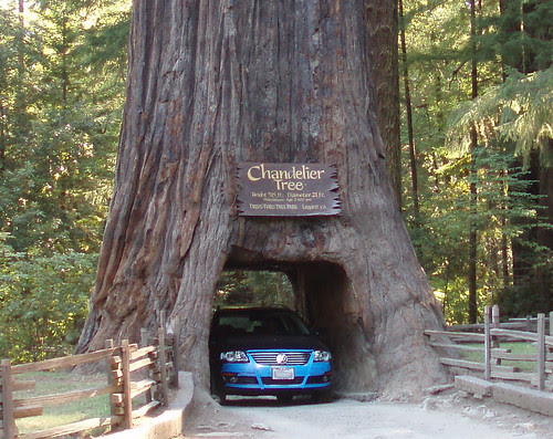 chandelier tree