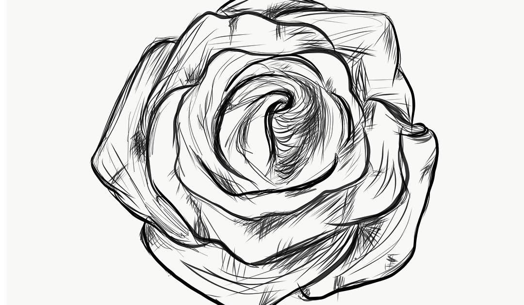 تعلم رسم الورد الجوري Celesio