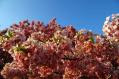 20130320 (25)