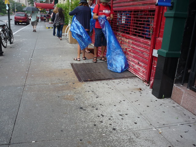 Aftermath of Irene: The View from Greenwich Village