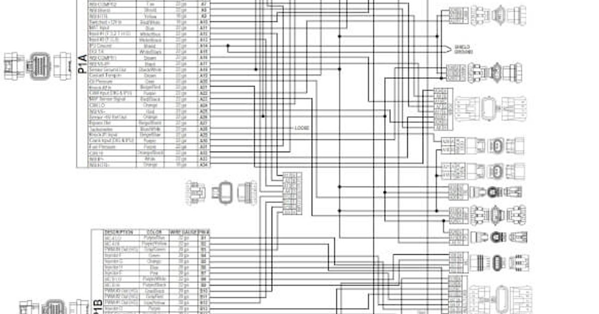 55 Holley Ls Wiring Harness - Wiring Diagram Harness