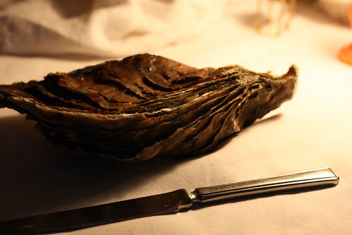Massive oyster