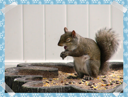 Raisins are yummy but they get stuck on your teeth!