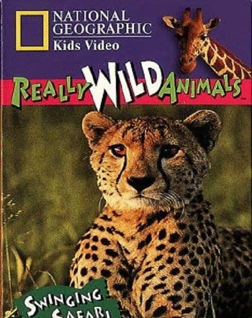 Ver National Geographic's Really Wild Animals: Swinging Safari (1997