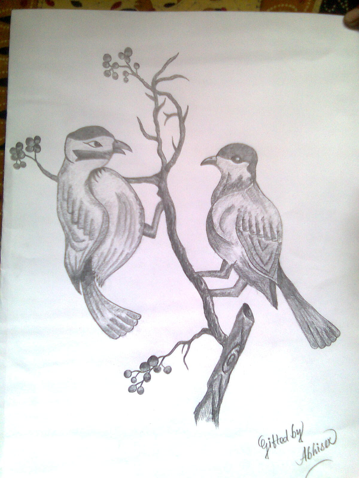 Cartoon Love Bird Sketch Drawing for Kindergarten