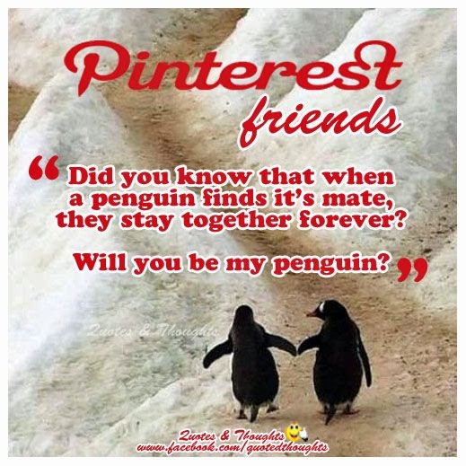 Penguins Mate For Life Quote : 9 Best penguin quotes images | Quotes