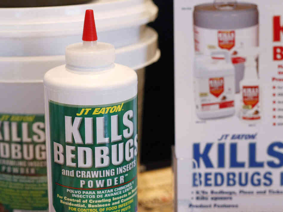 Kill Bed Bugs Strategically Using 5 Brilliant Ways Bed Bugs Treatment