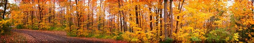 Fall panorama by Fotochoice Photography