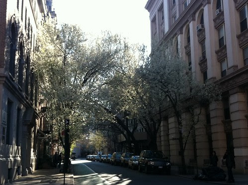 April in New York