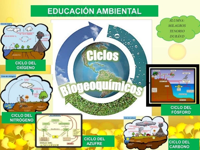 Ciclos Biogeoquimicos 9610