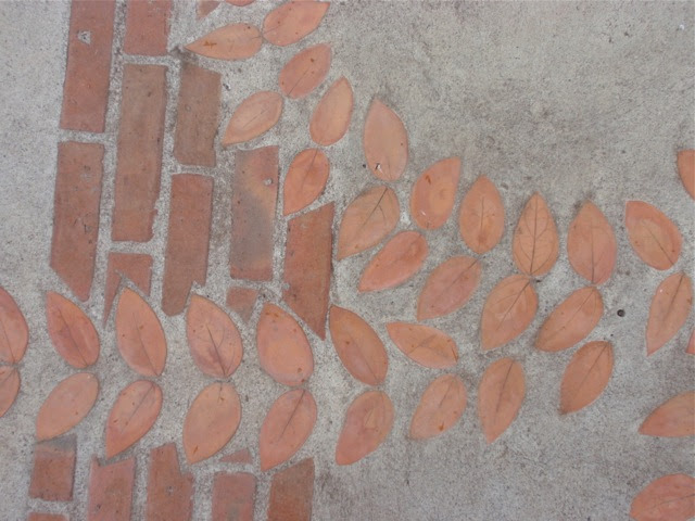 pavement leaves