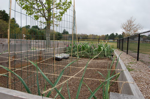 CommGardens_20120421 007