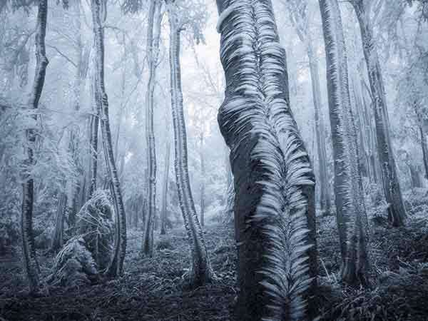 photos-without-photoshop-january-2015-artnaz-com-9