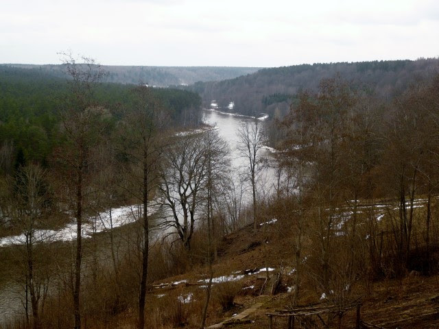 P1200352
