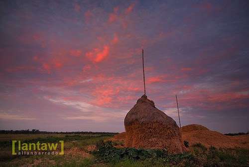 Mayantoc Rural Sunset