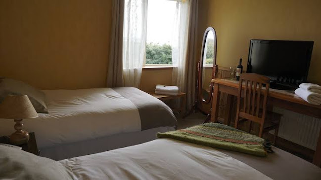 Opiniones de Hotel Borde Lago en Puerto Varas - Hotel