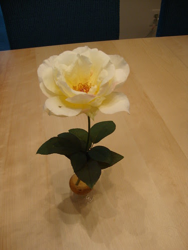 third rose of the year