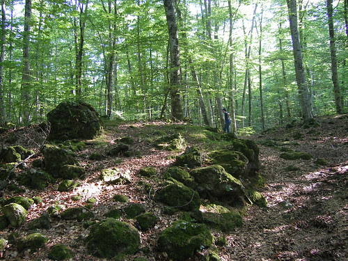 La Fageda