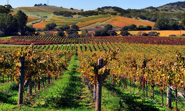 Napa Valley - Places to visit out west