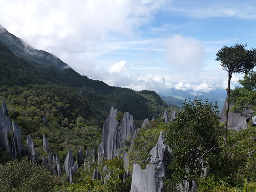 Gunung Mulu
