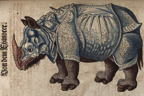 The rhinoceros of Dürer in the Thierbuch of Conrad Gessner, 1563