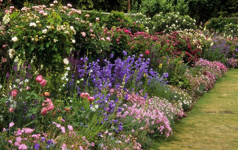 Elegant English Flower Garden Images Top Collection Of Different