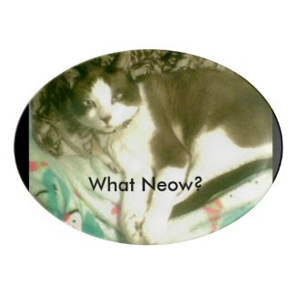 snowshoe What Neow? kitty Porcelain Serving Platter