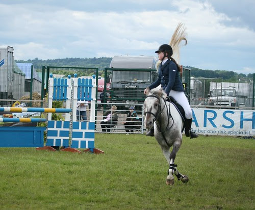 Showjumping