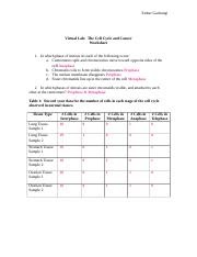 Cell Cycle Student Worksheet Answer Key : nutrient cycles pogil-natalia