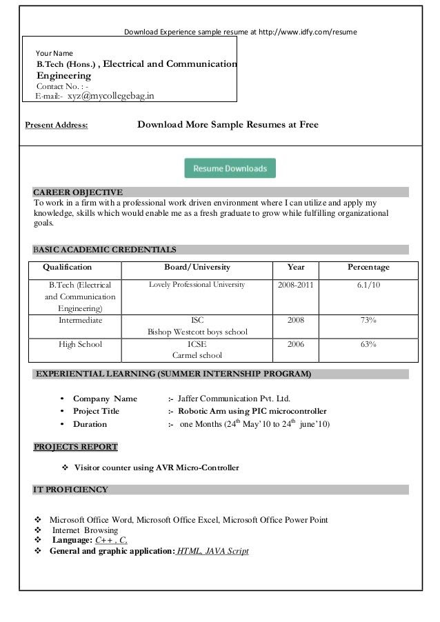 resume format for job experience word file