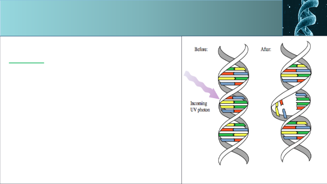 phd thesis on genomes