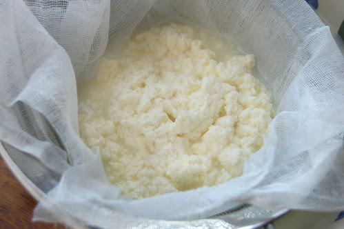 Curds Draining In A Cheesecloth-Lined Strainer